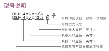 DSJH型石油化工流程泵型號說明